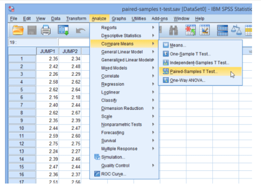 spss consultant